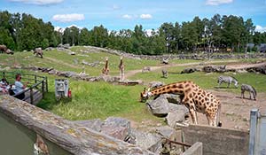 I Borås djurpark finns många djur att se